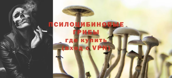 мескалин Богданович