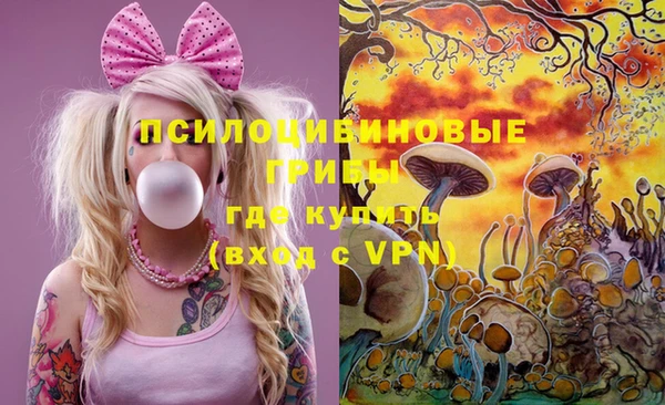 гашик Беломорск