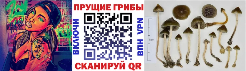 мега маркетплейс  Пятигорск  Псилоцибиновые грибы ЛСД 