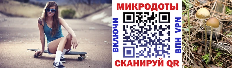 Псилоцибиновые грибы Psilocybe Пятигорск
